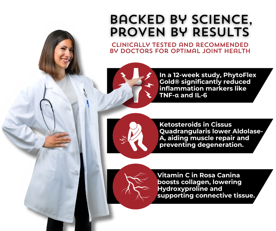 PhytoFlex Gold® is clinically tested and doctor-recommended for joint health, proven to reduce inflammation markers TNF-α and IL-6, aid muscle repair with Cissus Quadrangularis, and boost collagen with Vitamin C from Rosa Canina.